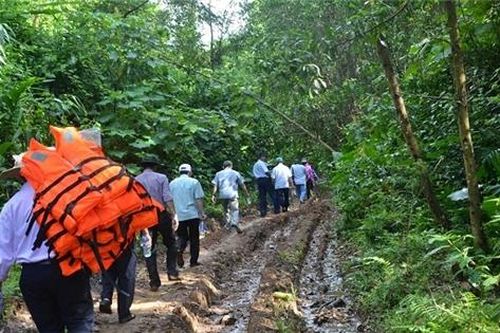 Quảng Ngãi: Mất cả nghìn ha rừng tự nhiên vì… xác định nhầm!