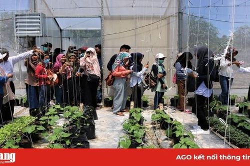 Châu Đốc phát triển du lịch tâm linh gắn với du lịch sinh thái