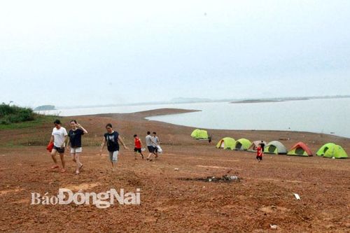 Cơ hội trong đại dịch