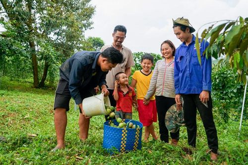 Phát triển nông nghiệp toàn diện, bền vững gắn với xây dựng nông thôn mới ở Bảo Lâm
