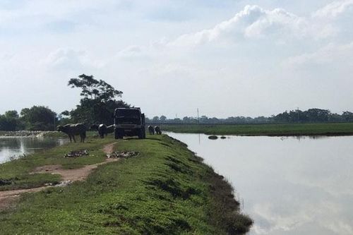 Hà Nội vận hành 16 trạm bơm tiêu úng 472ha sản xuất nông nghiệp
