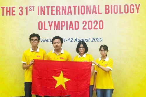 Liên tục đón Huy chương Vàng các kỳ thi trực tuyến Olympic quốc tế