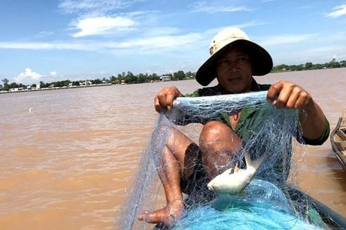 Người miền Tây mong 'mùa lũ đẹp'