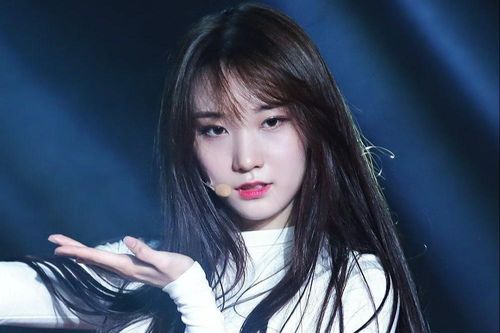 Showbiz Hàn Quốc đóng băng vì dịch