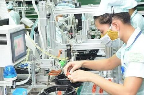 6 tháng cuối năm 2020: Những ngành được dự báo triển vọng