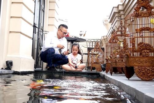 Bể cá Koi tiền tỷ trên sân thượng