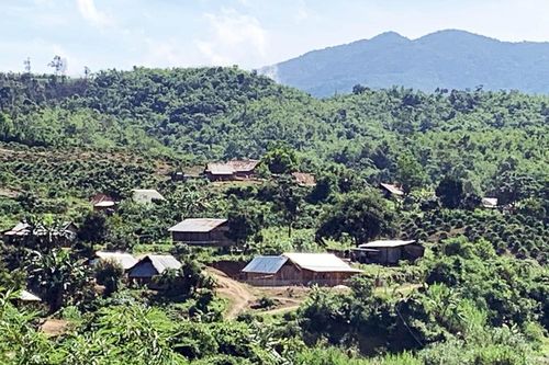 Tranh giành đất lâm nghiệp: Những quả 'bom' nổ chậm