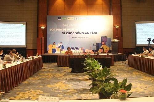 Việt Nam đang dẫn đầu về tăng trưởng năng lượng tái tạo trong khu vực ASEAN