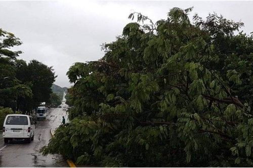 Cuba sơ tán hàng trăm nghìn người do bão nhiệt đới Laura