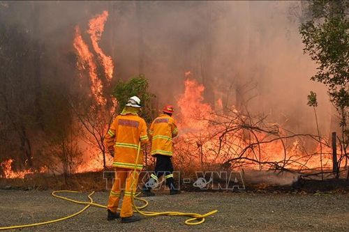Bang New South Wales công bố kết quả điều tra thảm họa cháy rừng năm 2019-2020