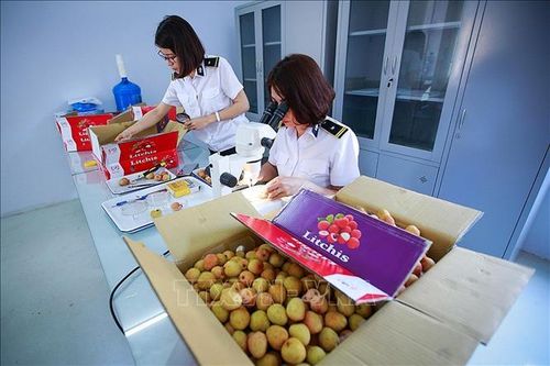Chuyên gia quốc tế: Việt Nam là đối tác kinh tế lý tưởng của Australia