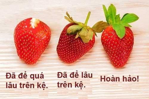 Chỉ 3 giây bạn đã biết cách chọn những quả dâu tây tươi ngon, không nhiễm hóa chất