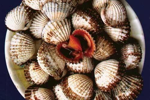 Cách chọn mua và làm sạch bùn cát ở ngao, sò, ốc, hến