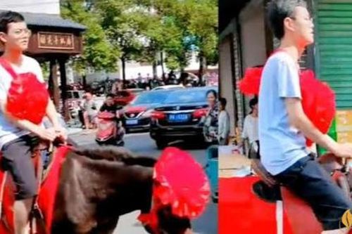 Đỗ đại học danh giá, nam sinh cưỡi ngựa về làng, có cả hàng dài ô tô hộ tống phía sau