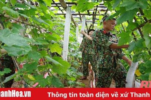 Trung đoàn 762: Chuẩn bị tốt hội thi tăng gia sản xuất giỏi năm 2020