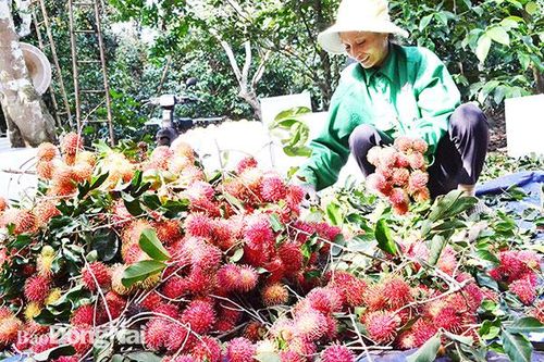 Bám sát thực tiễn, đề ra các giải pháp thực hiện nhiệm vụ hiệu quả