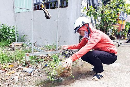 TP.Biên Hòa đẩy mạnh chiến dịch diệt lăng quăng