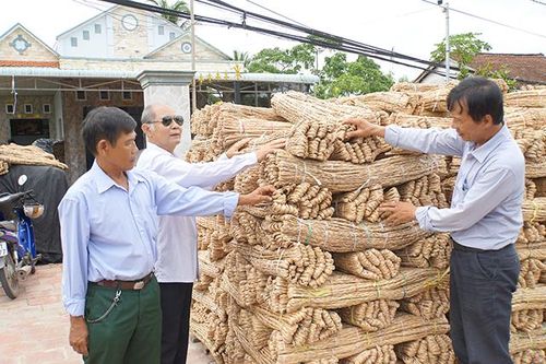 Cựu chiến binh Nguyễn Văn Hạnh vượt khó vươn lên làm kinh tế giỏi