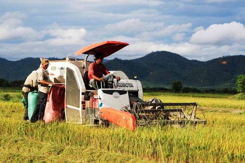 Krông Pa: Lan tỏa các phong trào thi đua yêu nước