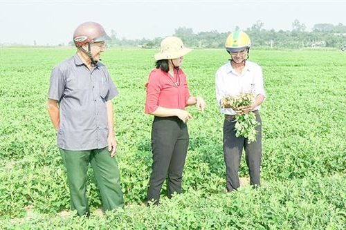 Chú trọng ứng dụng khoa học công nghệ vào các lĩnh vực, ngành nghề