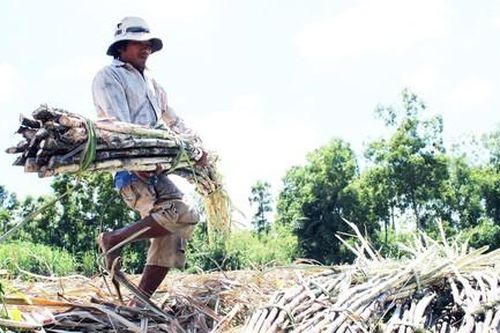 Trà Vinh: Ai trục lợi tiền hỗ trợ đồng bào dân tộc thiểu số? (kỳ 1)