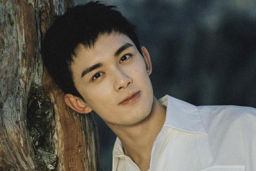 Ngô Lỗi - thần đồng diễn xuất thất thế