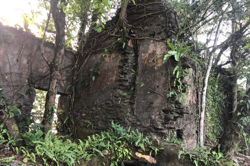 Chuyện kỳ thú về biệt thự nghỉ dưỡng trên núi Ba Vì (Bài 3): Cuộc chạy đua của 'giám đốc thất nghiệp' và các 'đại gia'