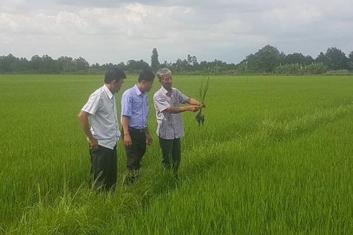 Đổi mới phương thức lãnh đạo của Đảng từ những mô hình hay, hiệu quả - Bài 3: Làm để dân tin