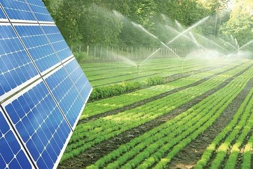 Điện mặt trời kết hợp nông nghiệp và thủy sản đang gặp nhiều trở ngại