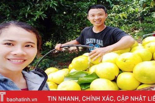 Hương Khê mùa bưởi chín...