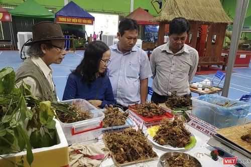 Dịch COVID-19 kéo dài, phiên chợ sâm bạc tỷ ở Quảng Nam chuyển sang bán online