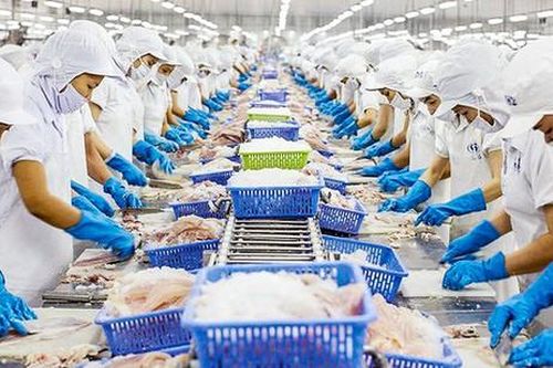 VHC - Những tín hiệu bất ổn