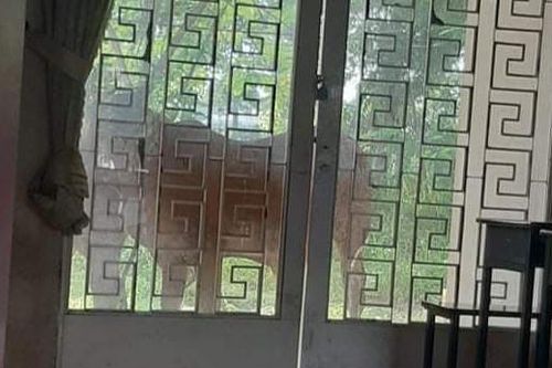 Đi học nhưng cứ lấp ló ngoài cửa lớp, 'sinh viên' lạ mà quen này ngay lập tức gây chú ý cộng đồng mạng