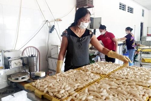 Đạt doanh thu gần 1 tỷ đồng/tháng từ sản xuất bánh gạo