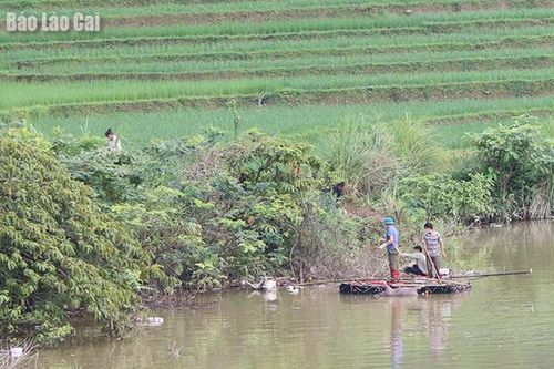 Các xã phối hợp với lực lượng chức năng làm rõ đối tượng vứt xác lợn ra suối và báo cáo UBND huyện trước ngày 28/8