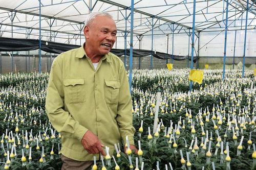 Chuyện lão nông 8 năm liền đạt sản xuất giỏi cấp Trung ương