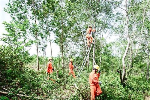 Phát quang hành lang lưới điện để vận hành liên tục, an toàn