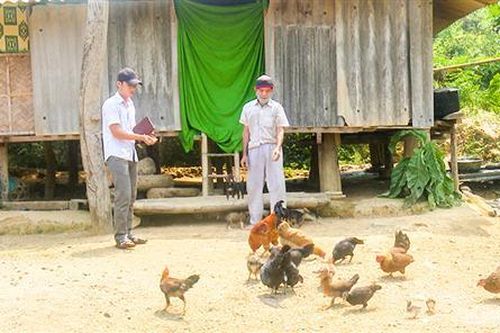 Bí thư chi bộ trẻ tận tụy với thôn bản
