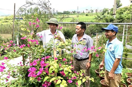 Vượt khó giúp nhau phát triển kinh tế