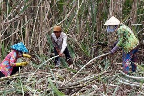 Trà Vinh: Ai trục lợi tiền hỗ trợ đồng bào dân tộc thiểu số? (kỳ 2)