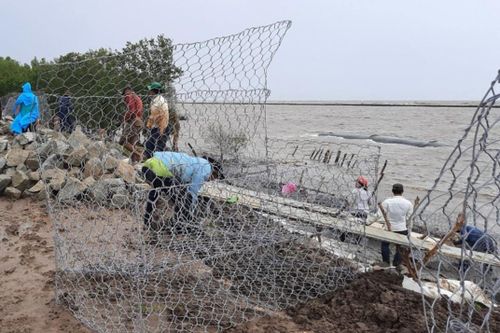 Sạt lở hơn 3 km đê biển, Cà Mau ban bố tình huống khẩn cấp