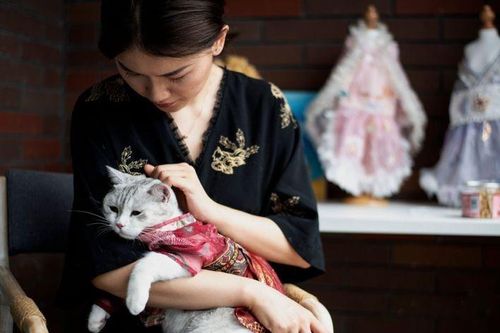 Cô gái Trung Quốc mỗi tháng bán 1.000 bộ đồ cho chó mèo