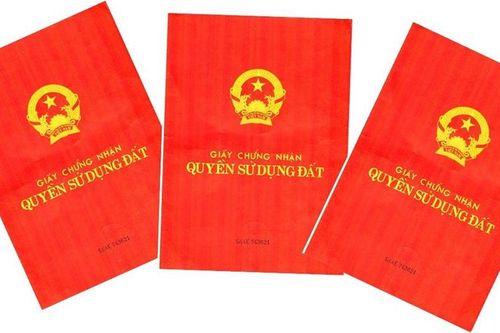 Nữ chuyên viên lấy 19 sổ đỏ của dân cho mượn, rồi bị rao bán khai gì?