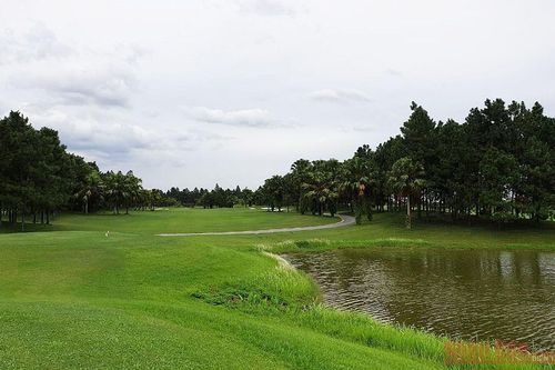 Tìm giải pháp hỗ trợ du lịch golf trong đại dịch Covid-19