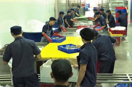 Quảng Ngãi: Nhiều doanh nghiệp có mô hình tiết kiệm điện hiệu quả