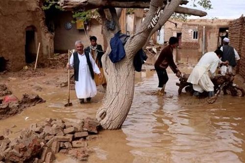 Mưa lũ tại Afghanistan, Pakistan: Ít nhất 74 người chết