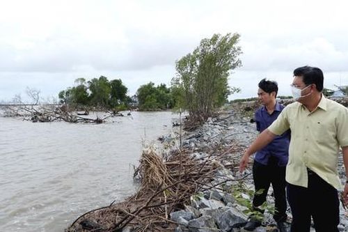 Cà Mau: Khẩn cấp khắc phục sạt lở 4 đoạn đê biển Tây