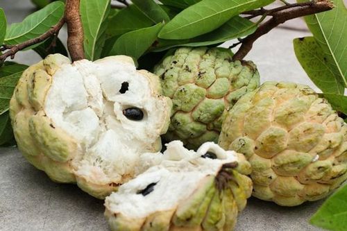 Quả na cực tốt cho sức khỏe nhưng không phải ai cũng ăn được