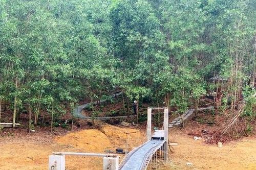 'San rừng, bạt núi xây khu sinh thái trái phép': Thêm sai phạm vì chính quyền ra hạn 60 ngày 'khắc phục'