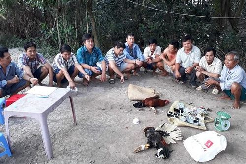 Triệt xóa tụ điểm đánh bạc trong vườn cam, bắt giữ 11 đối tượng liên quan